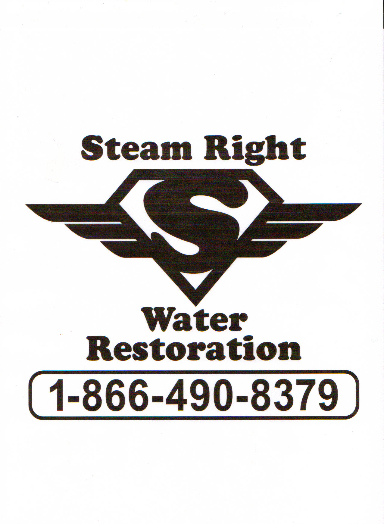 Avatar for Steam Right Cleaning Company
