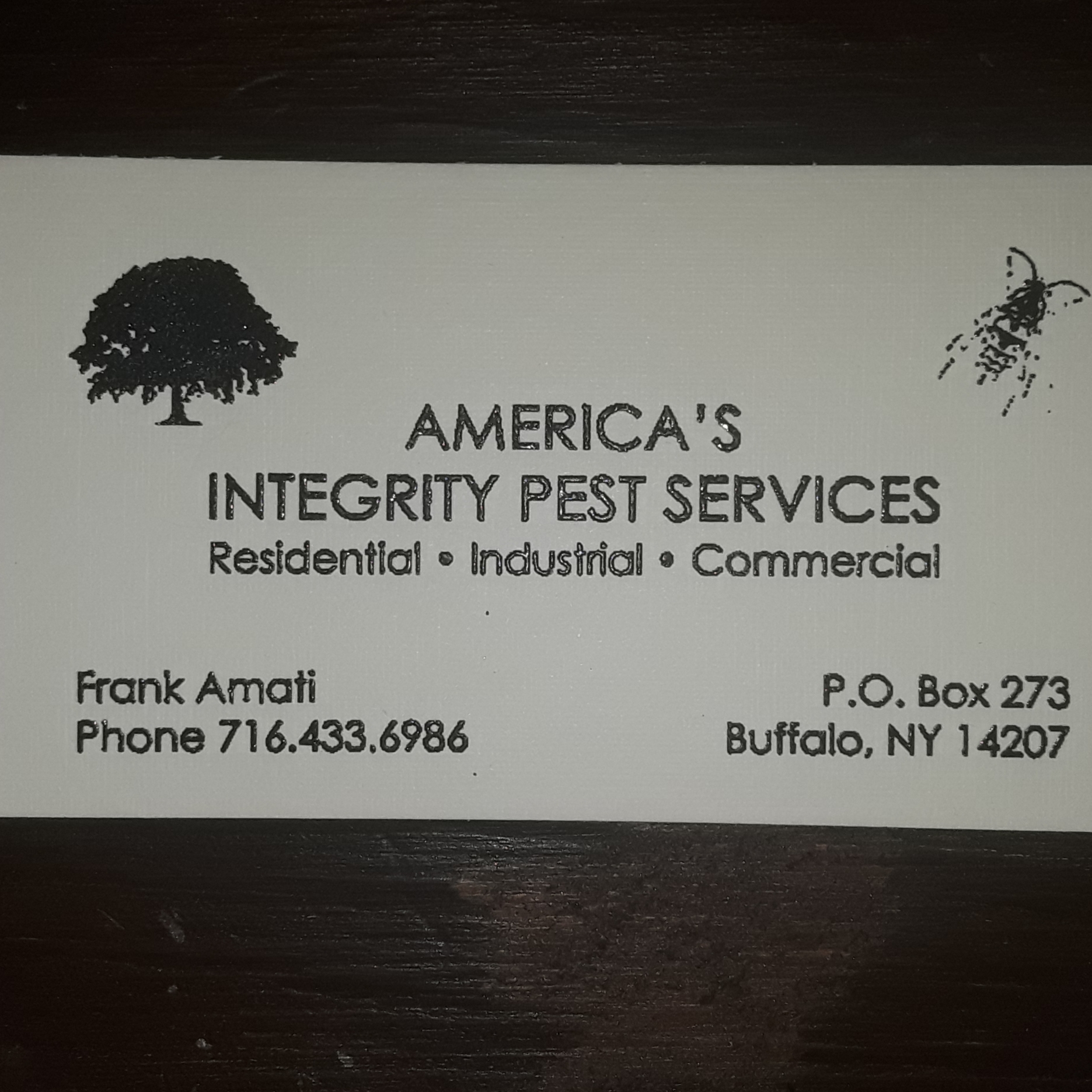 Logo for America's Integrity Pest Services 