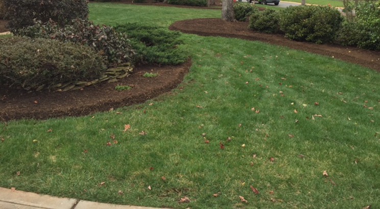 Logo for 5 Star Landscaping