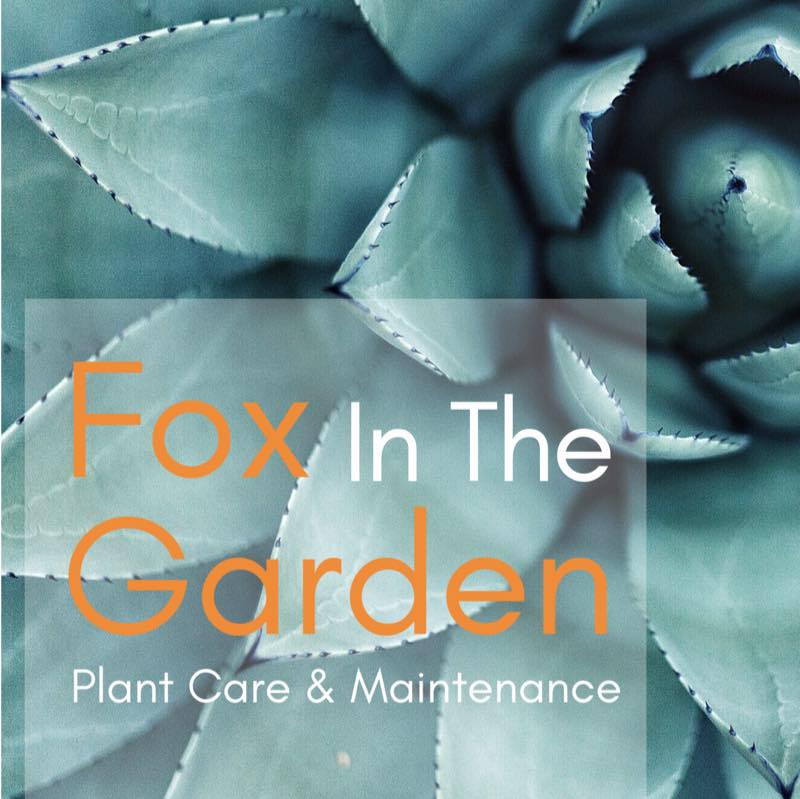 Avatar for Fox In The Garden