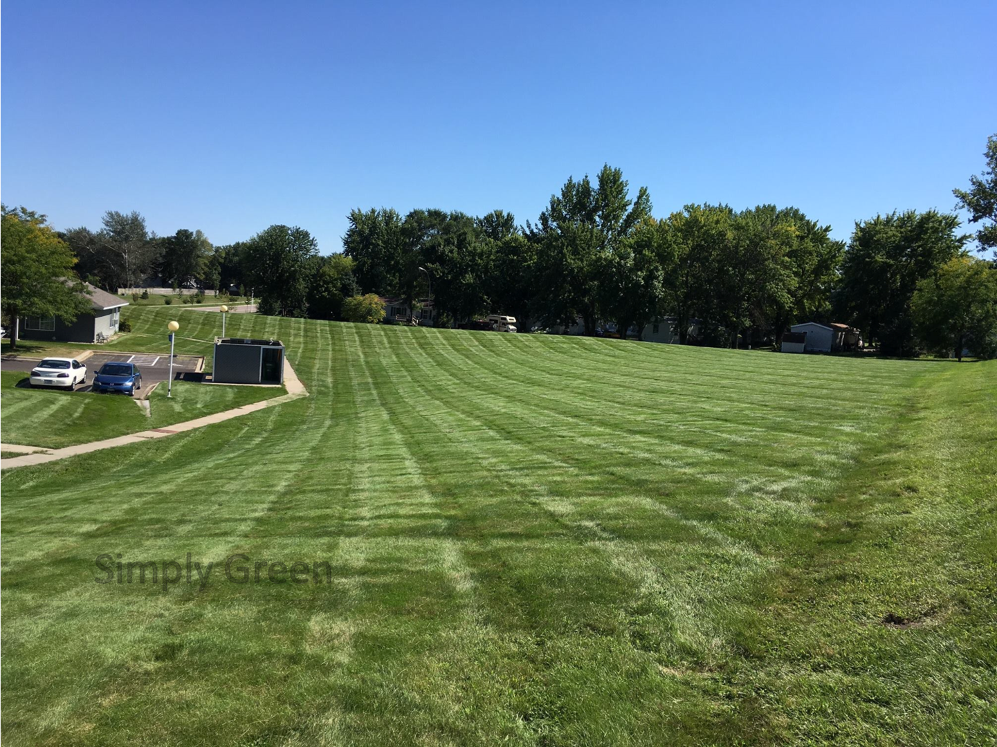 Avatar for Simply Green Lawn Service