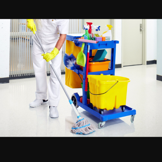 Avatar for MS Diaz Cleaning Services