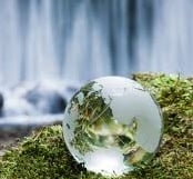 Avatar for AMC Septic Design & Testing Services