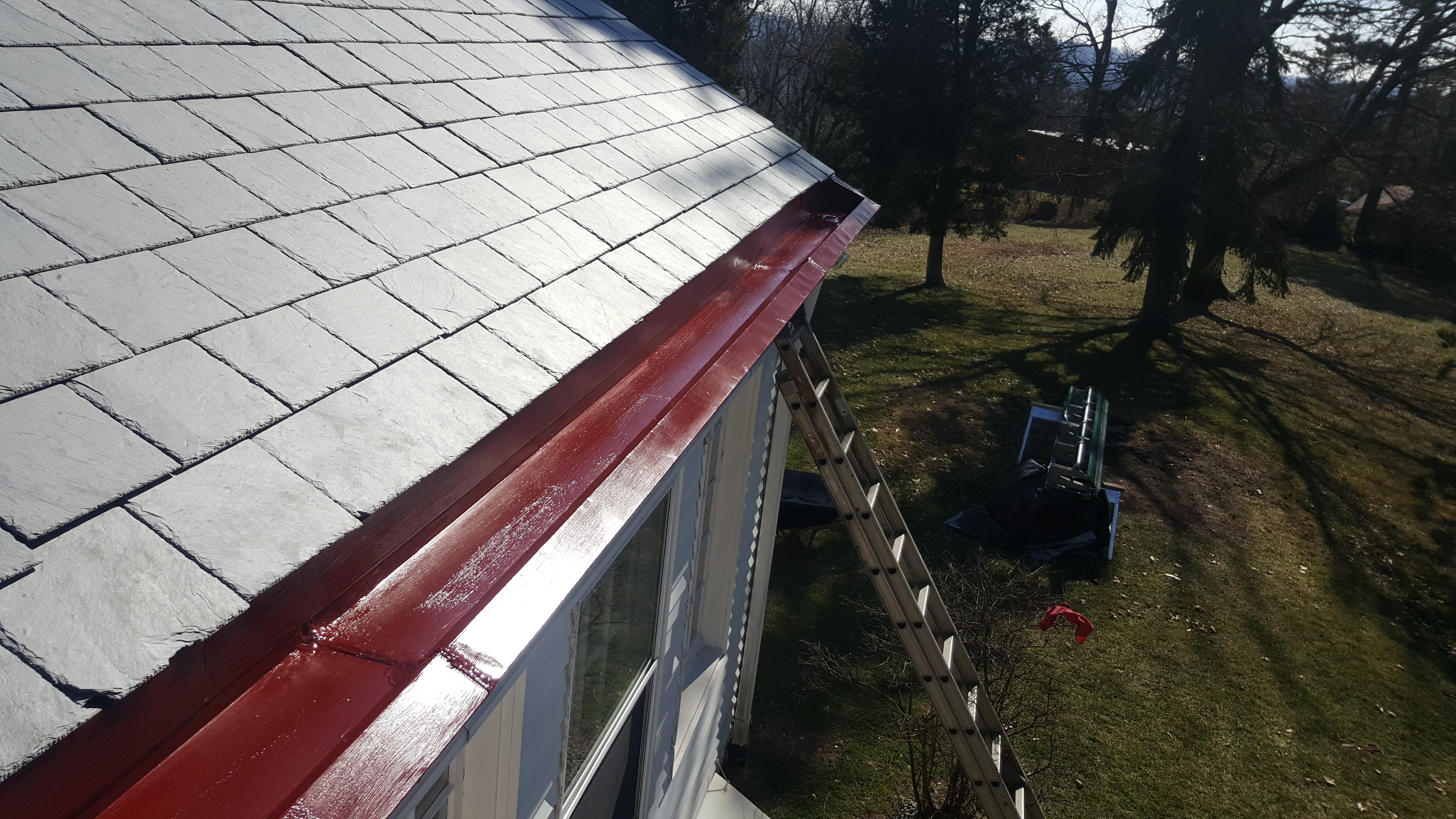 Avatar for Adam majewski