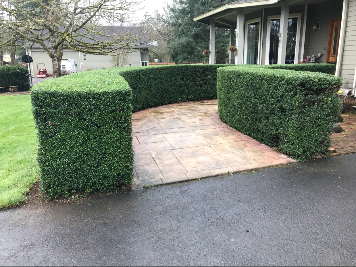 Avatar for Sunrise Yardcare & Construction LLC