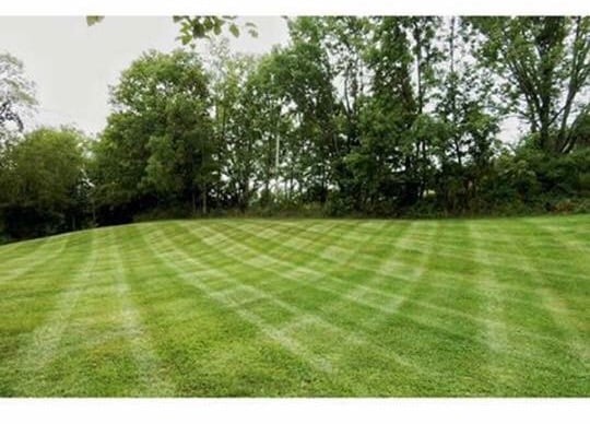 Avatar for American Lawn & Landscape