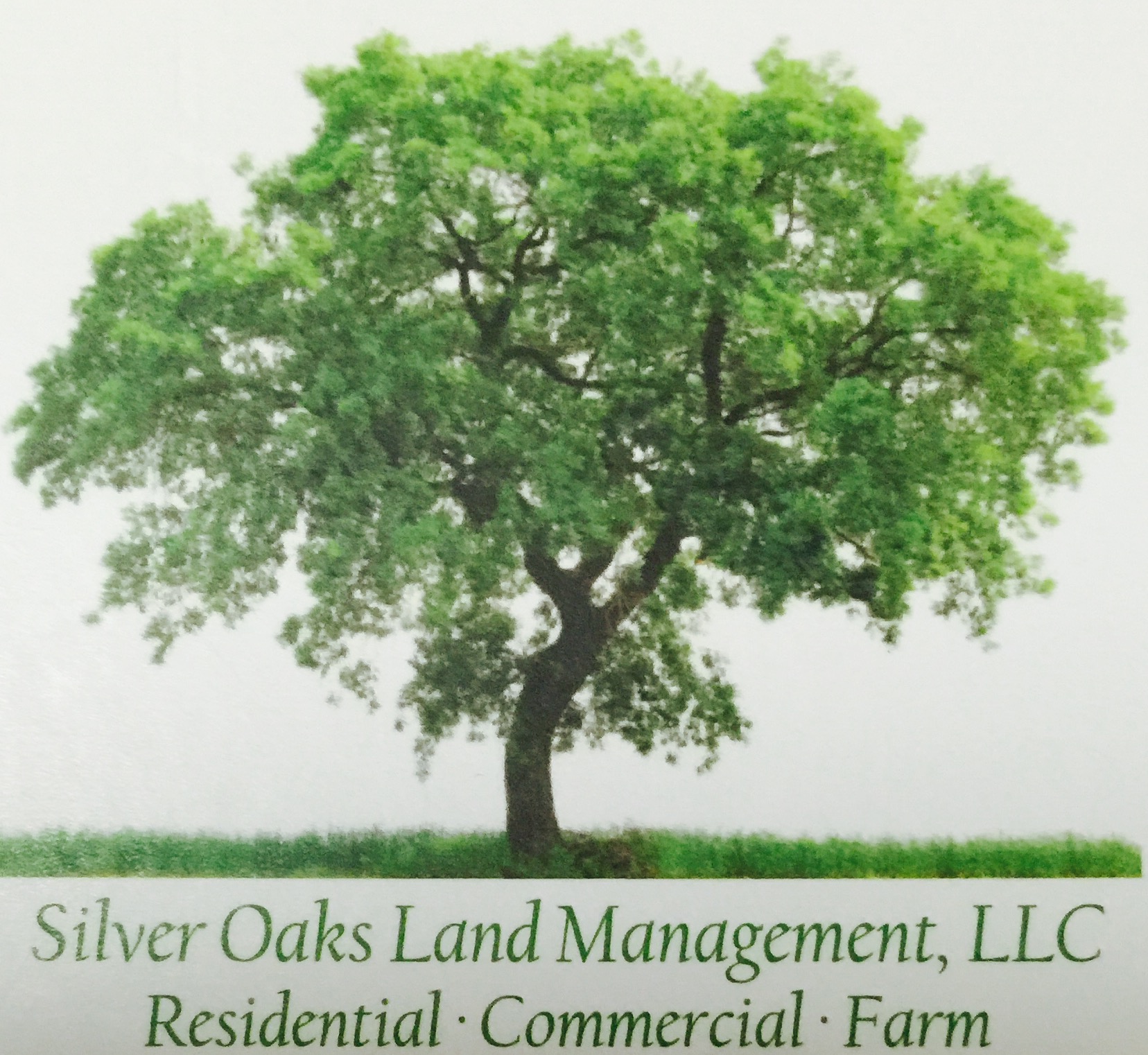 Avatar for Silver Oaks Land Management, LLC