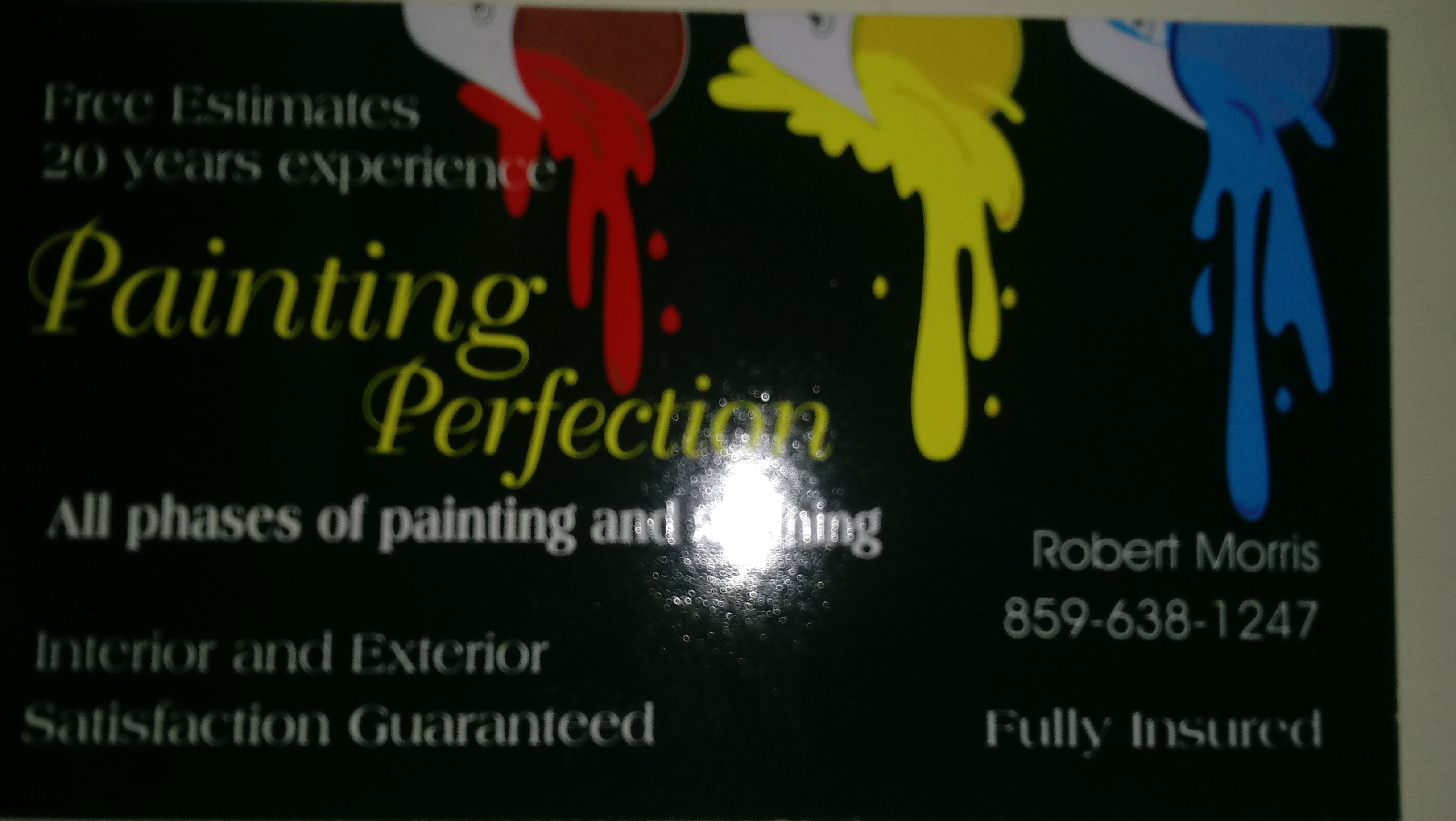 Avatar for Painting Perfection