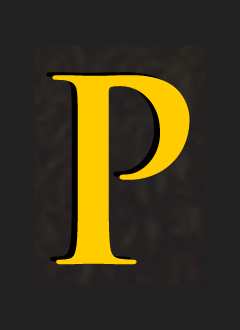 Logo for Premiere Home Designs