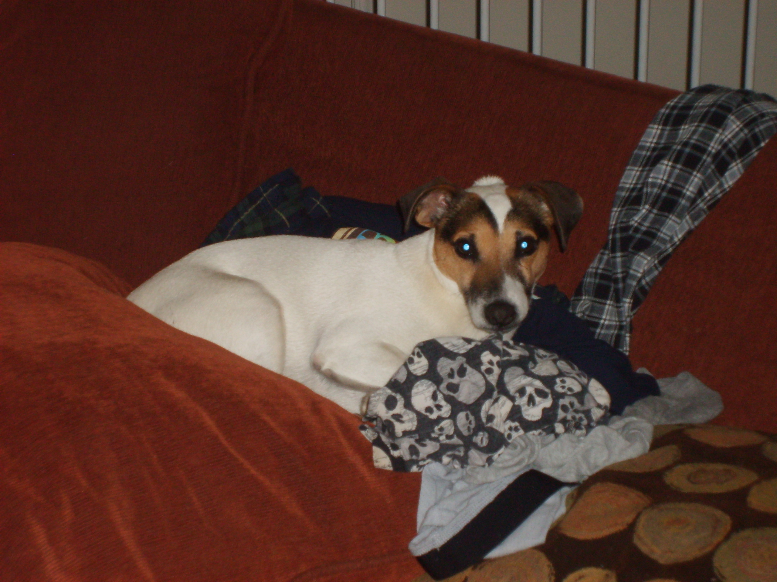 Avatar for Vaughan Wood Handyman and Painting Service