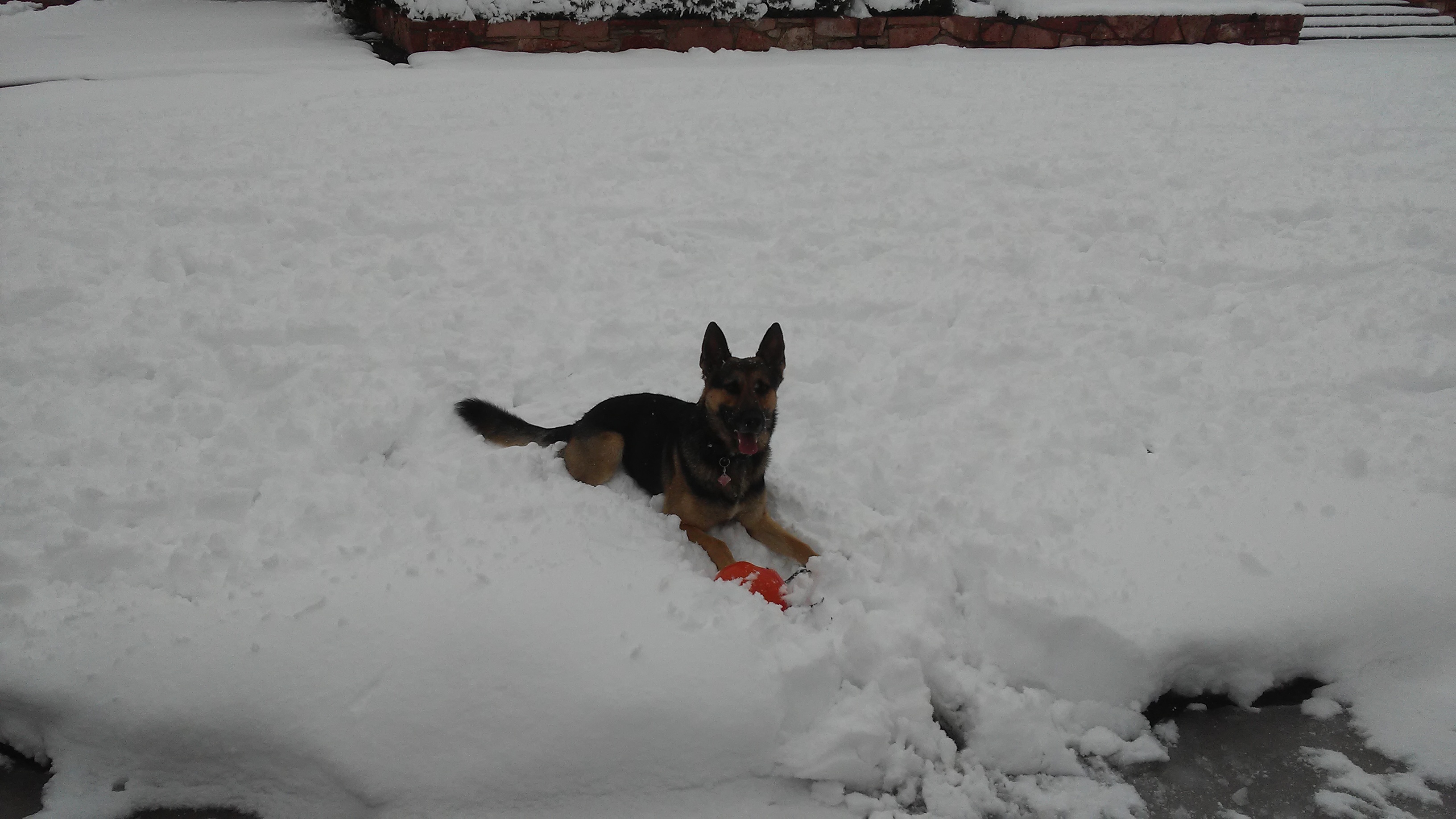 Avatar for Pinkerton Siding