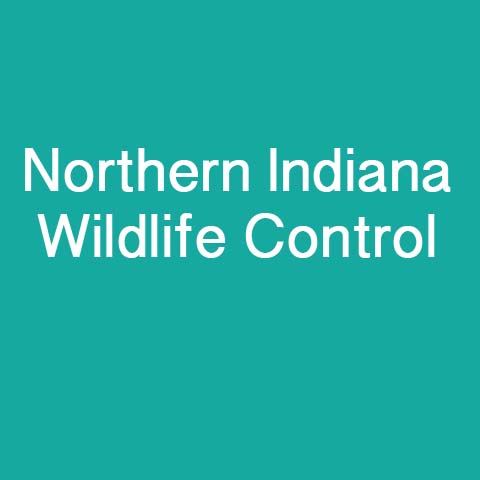 Avatar for Northern Indiana Wildlife Control, LLC