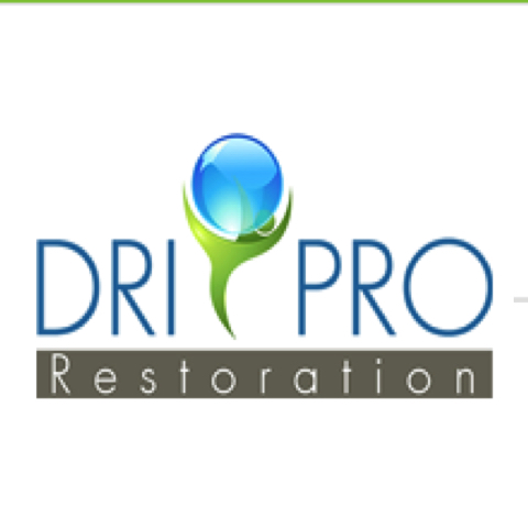 Avatar for DRI PRO RESTORATION