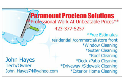 Paramount Proclean Solutions logo