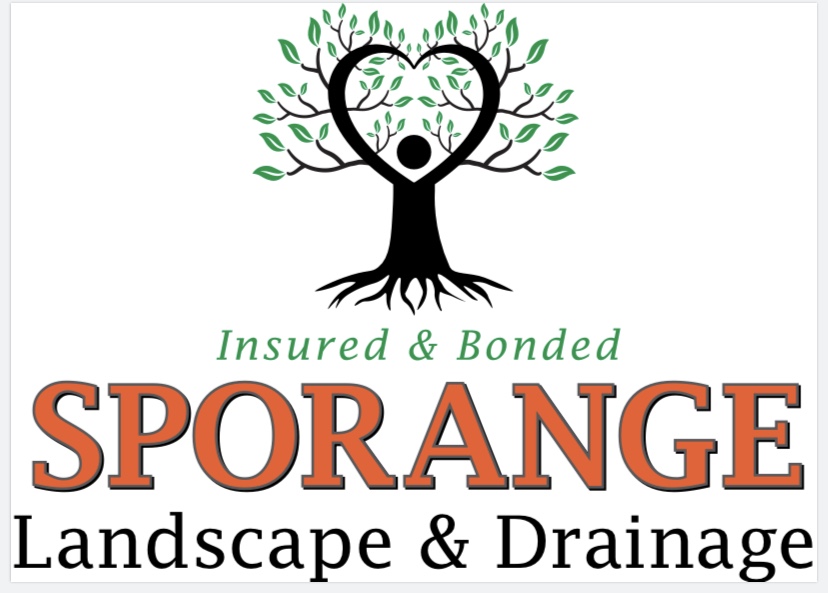 Avatar for Sporange Landscape and Drainage