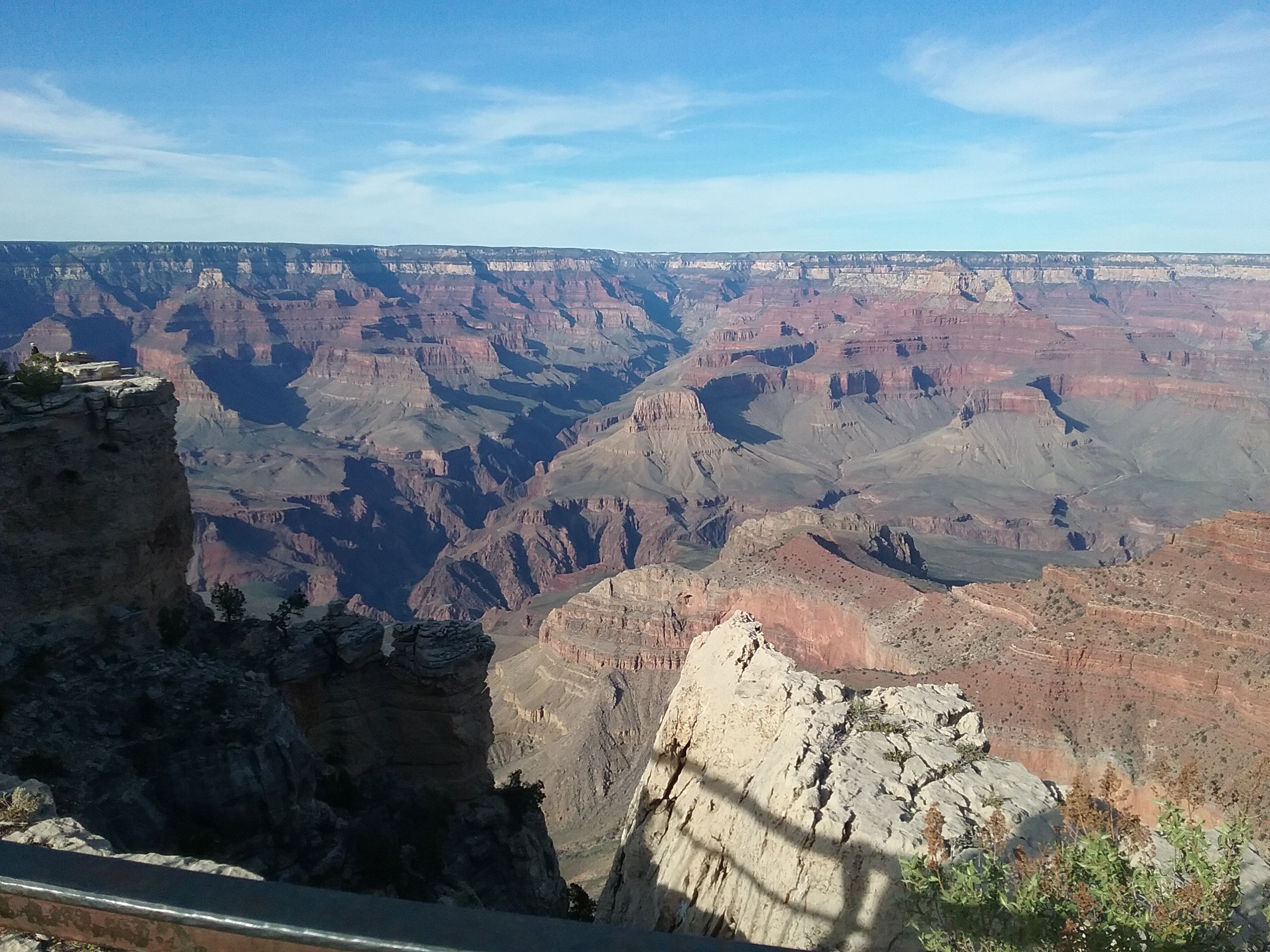 Avatar for demolition renovation services llc