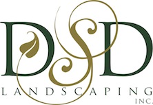Logo for DSD Landscaping