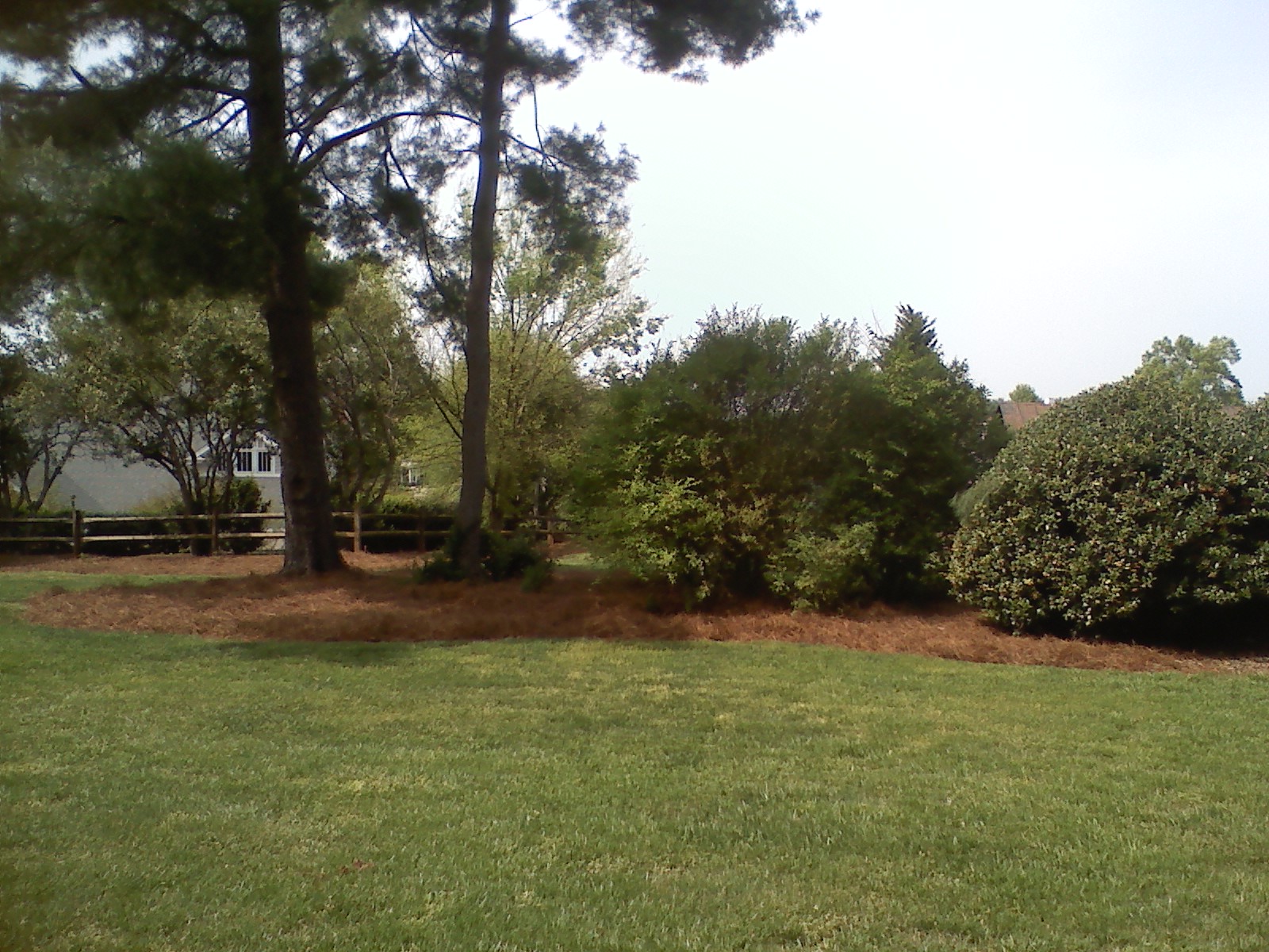 Logo for Boggs Landscaping 