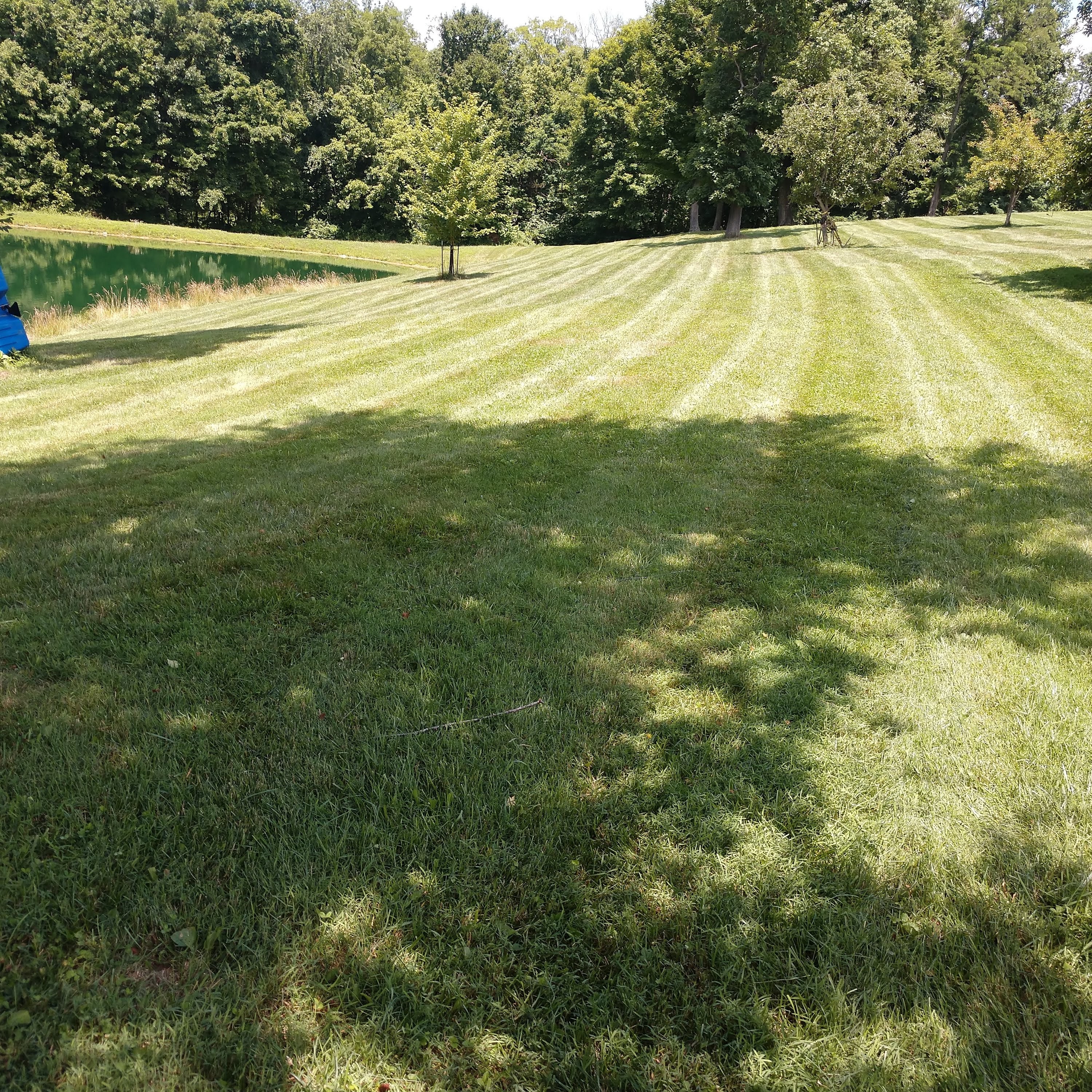 Avatar for Wolfe's landscape construction.llc