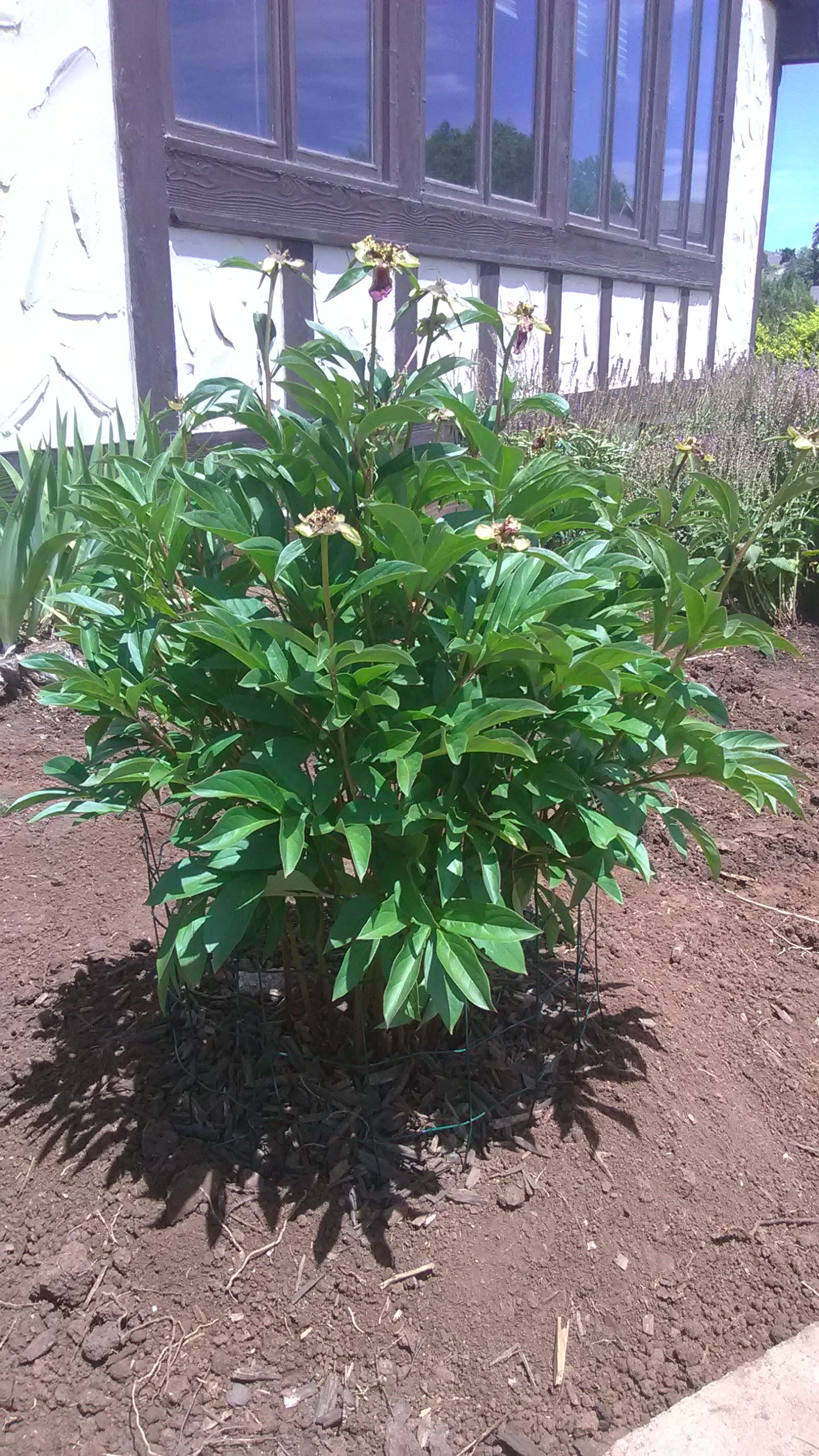 Avatar for Native Landscapes