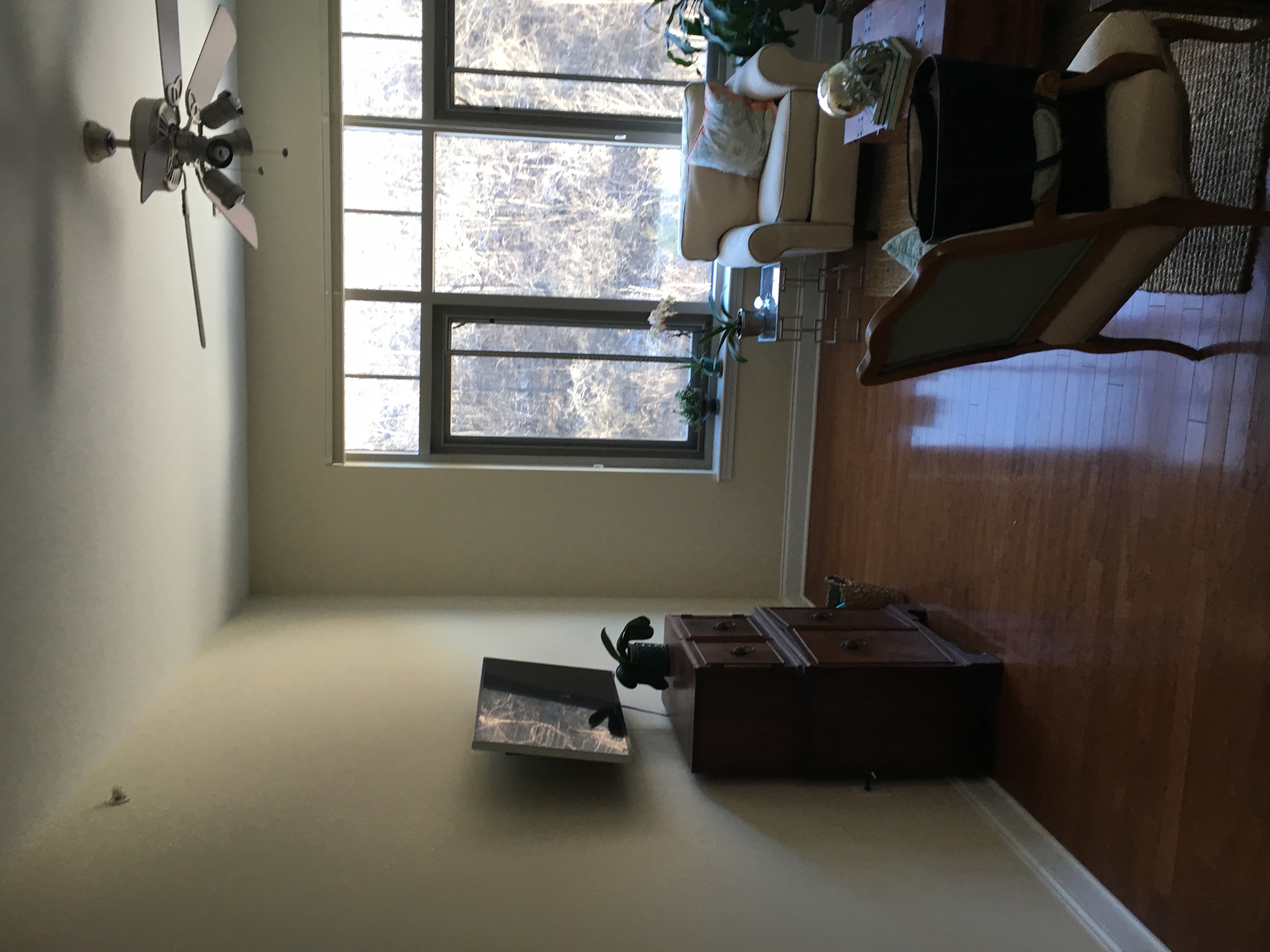 Avatar for Haven Painting and Interior