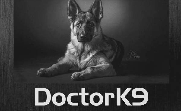 DoctorK9 Dog Training logo