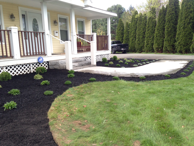 Avatar for Mass Services