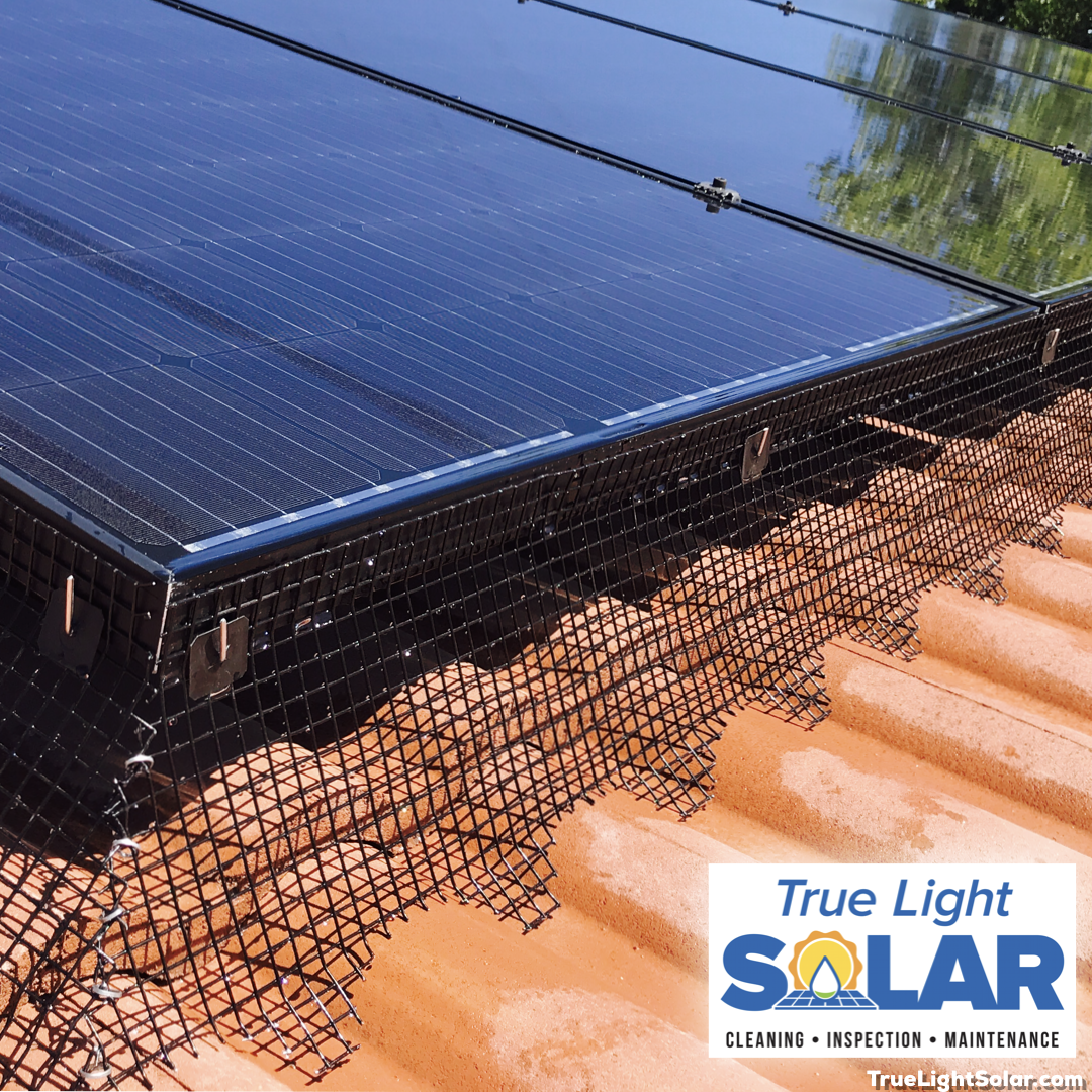 Avatar for True Light Solar