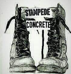 Avatar for Stampede Concrete