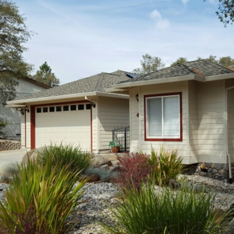 Avatar for Kelly Nunnink Painting