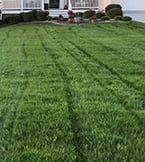 Avatar for Windy Knoll Land Maintenance