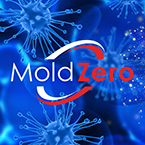 Logo for Mold Zero