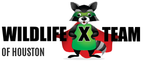 Avatar for Wildlife X Team Houston