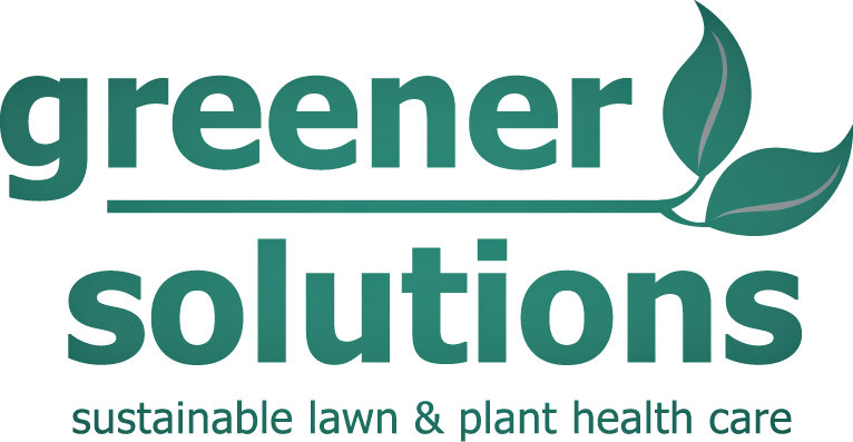 Avatar for Greener Solutions