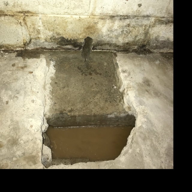 Avatar for Reeds Independent Drain Tile Test LLC