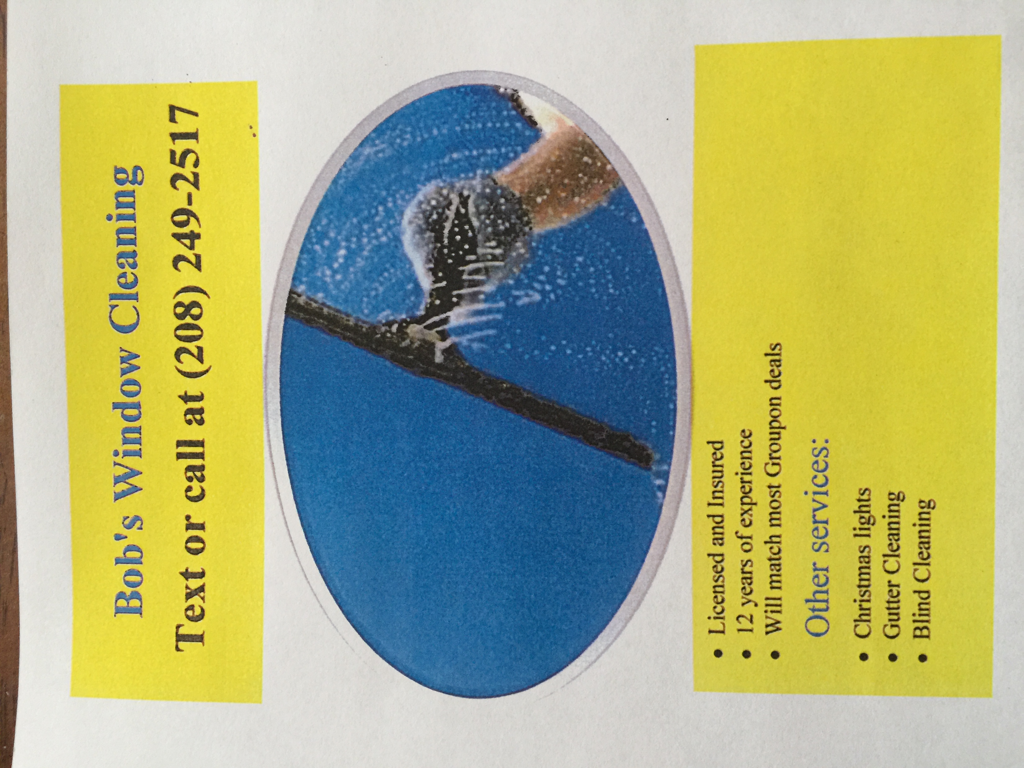 Avatar for Bobs Window Cleaning 