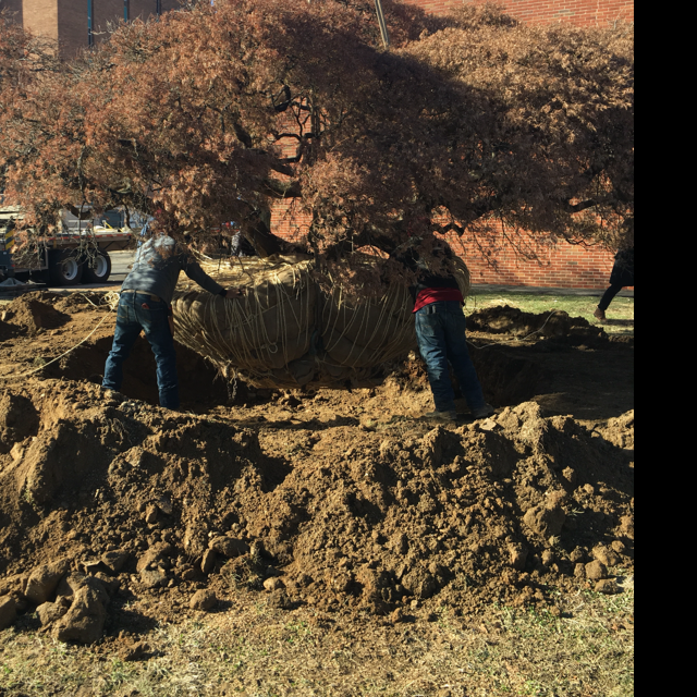 Schumacher Landscape Construction Reviews Furlong, PA Angi