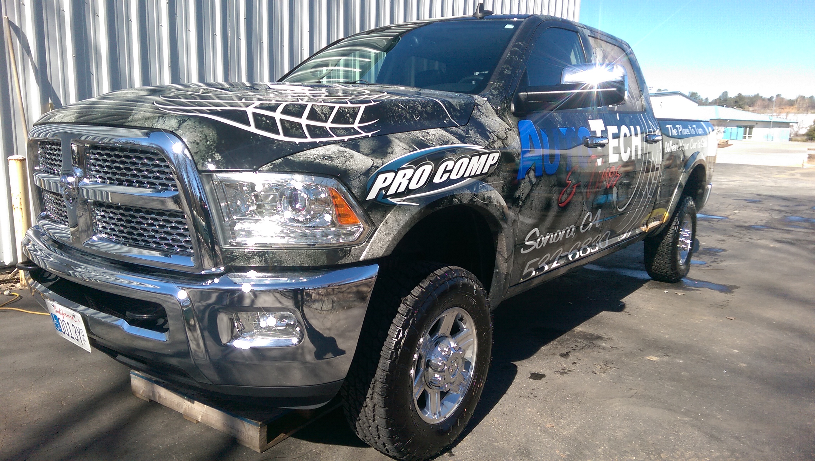 Divine Shine Detailing logo