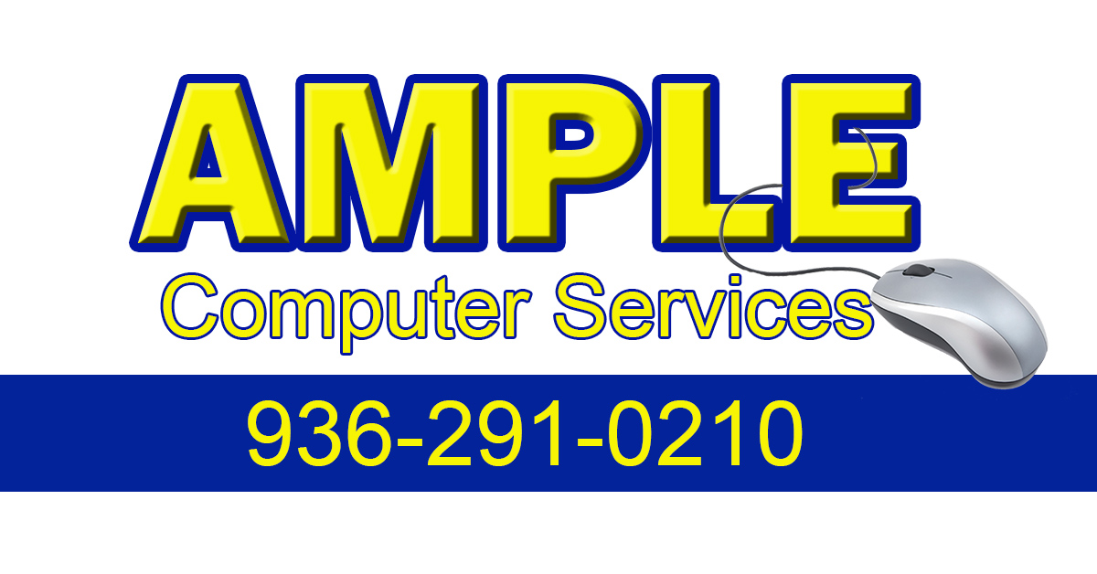 Avatar for Ample Computer Services Inc