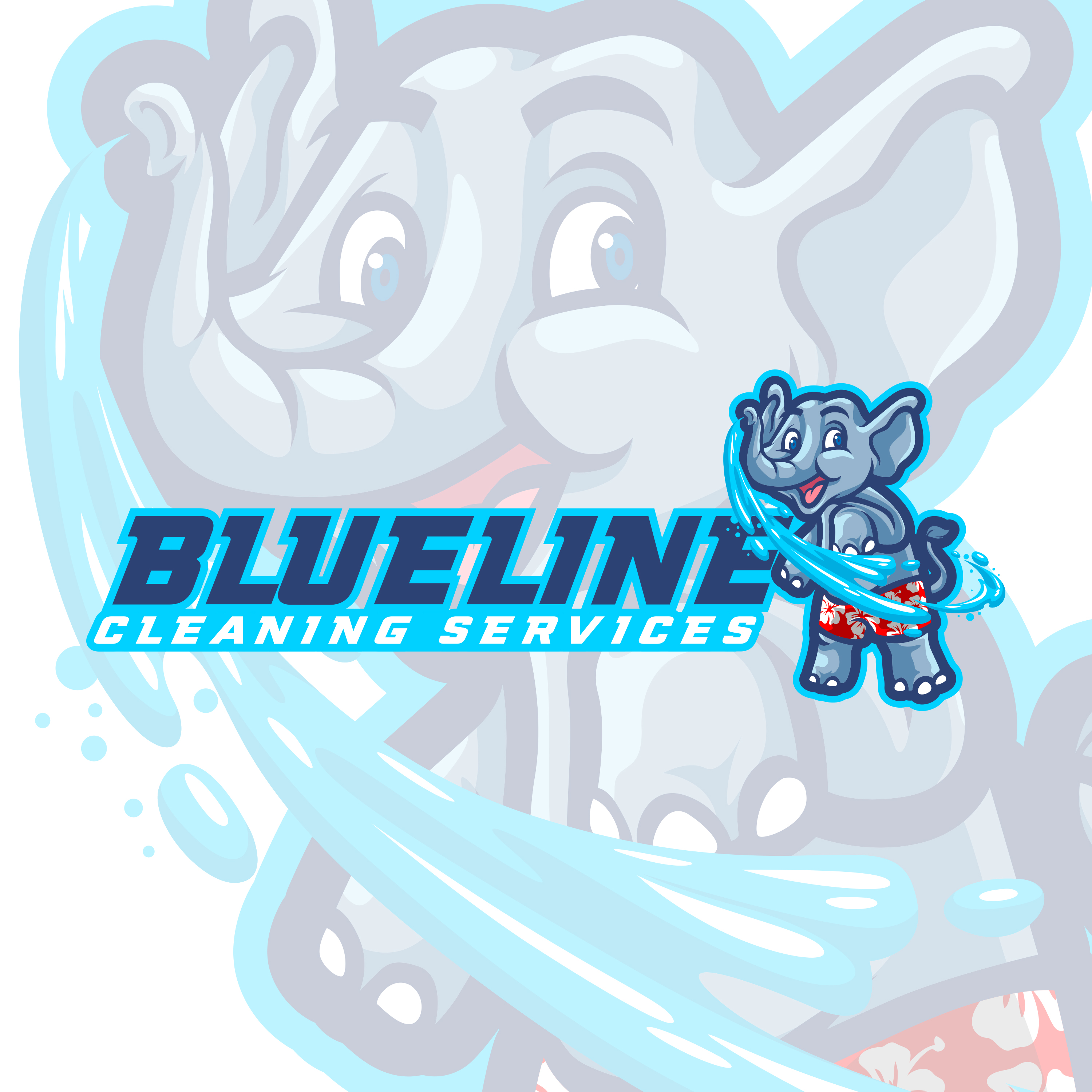 Avatar for BlueLine Pressure Washing & Auto Detailing 