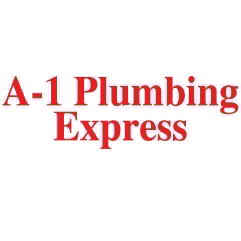 Avatar for A-1 Plumbing Express