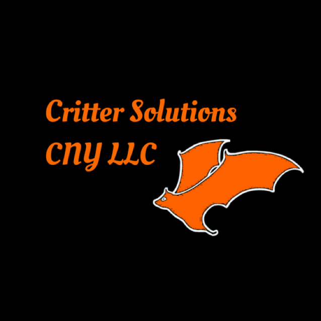 Avatar for Critter Solutions CNY LLC