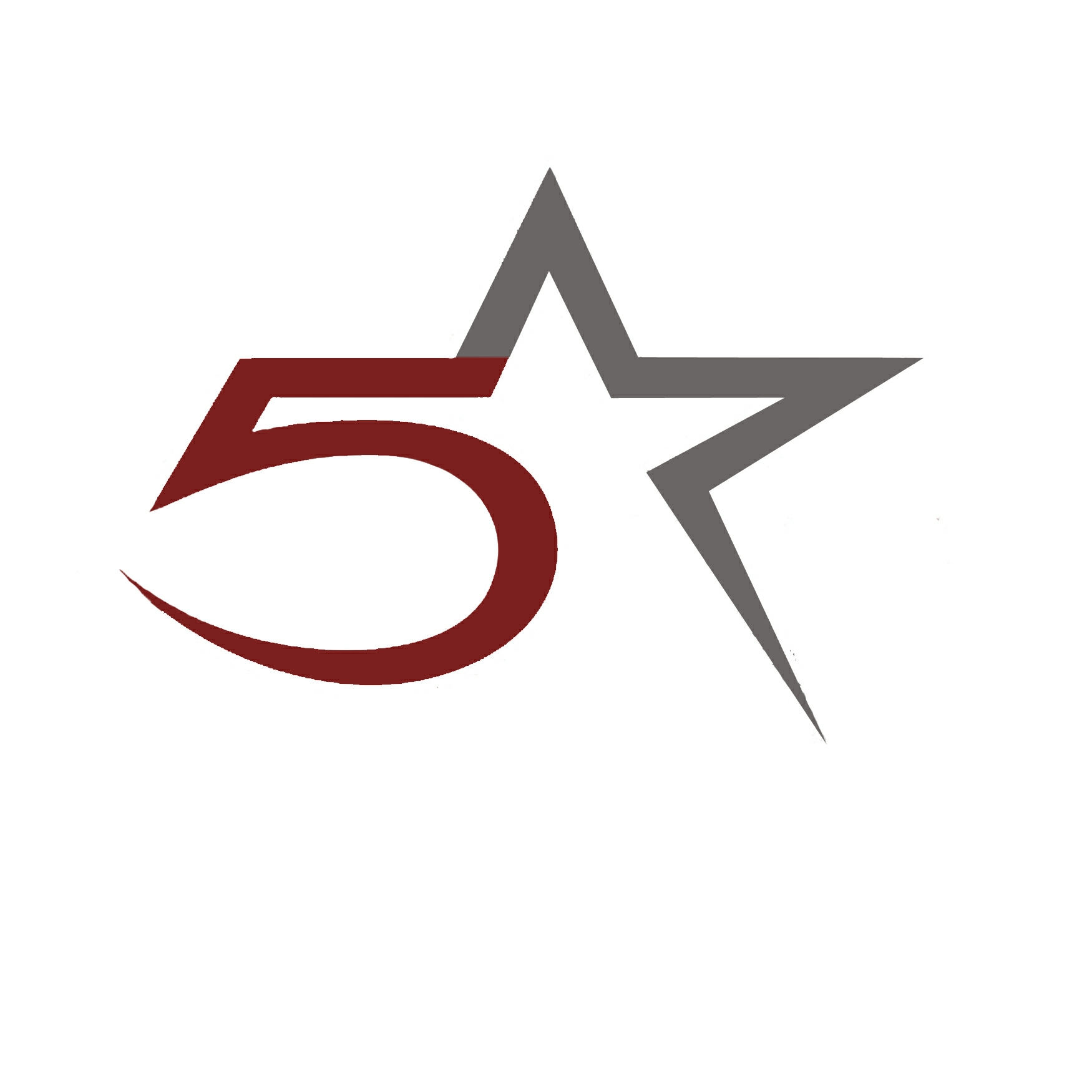 FiveStar Computer Service & Consulting LLC. logo