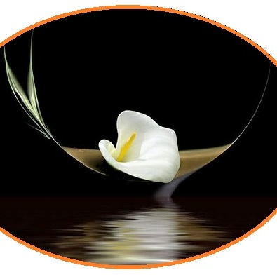 Valleyscapes Property Maintenance logo