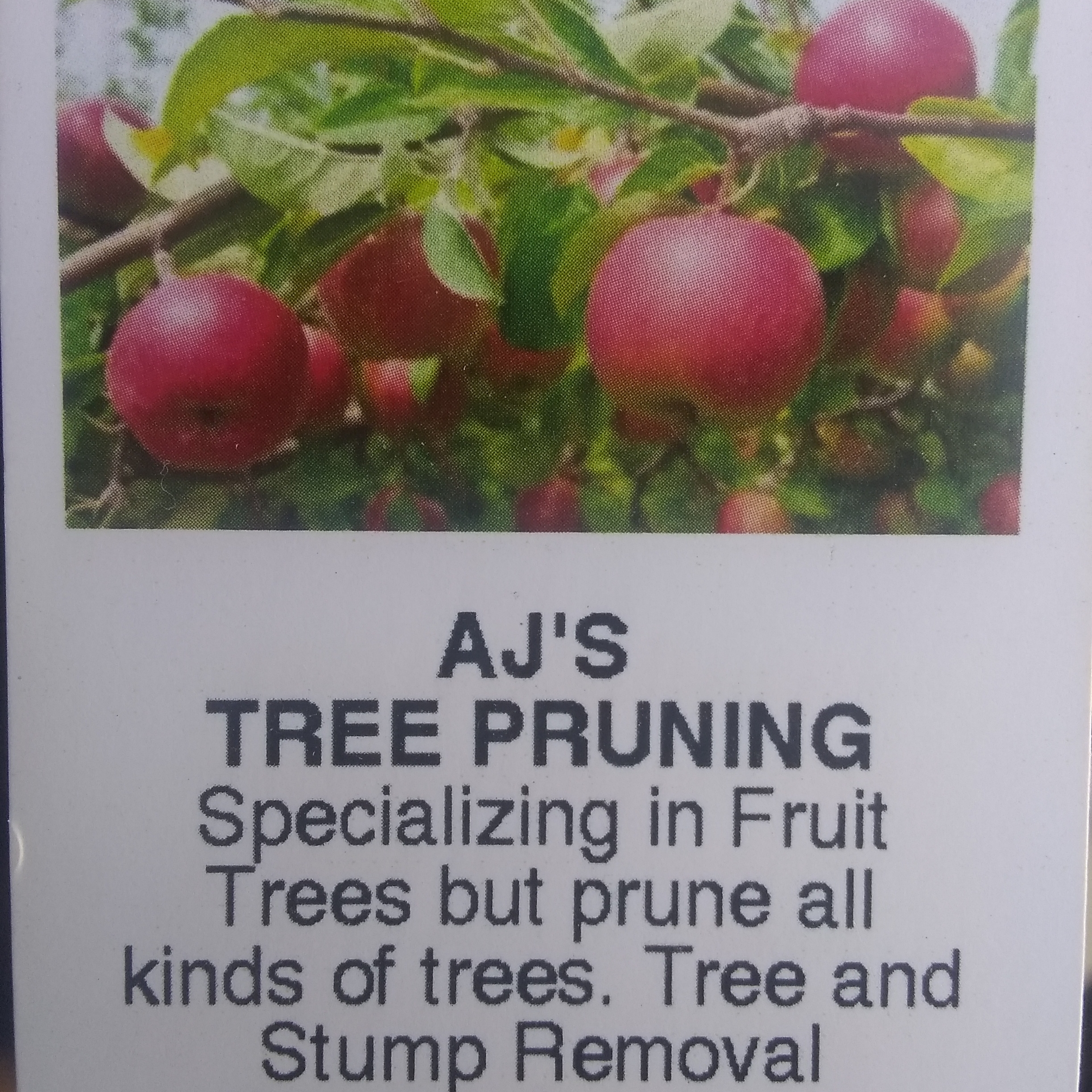 Avatar for Aj's tree pruning