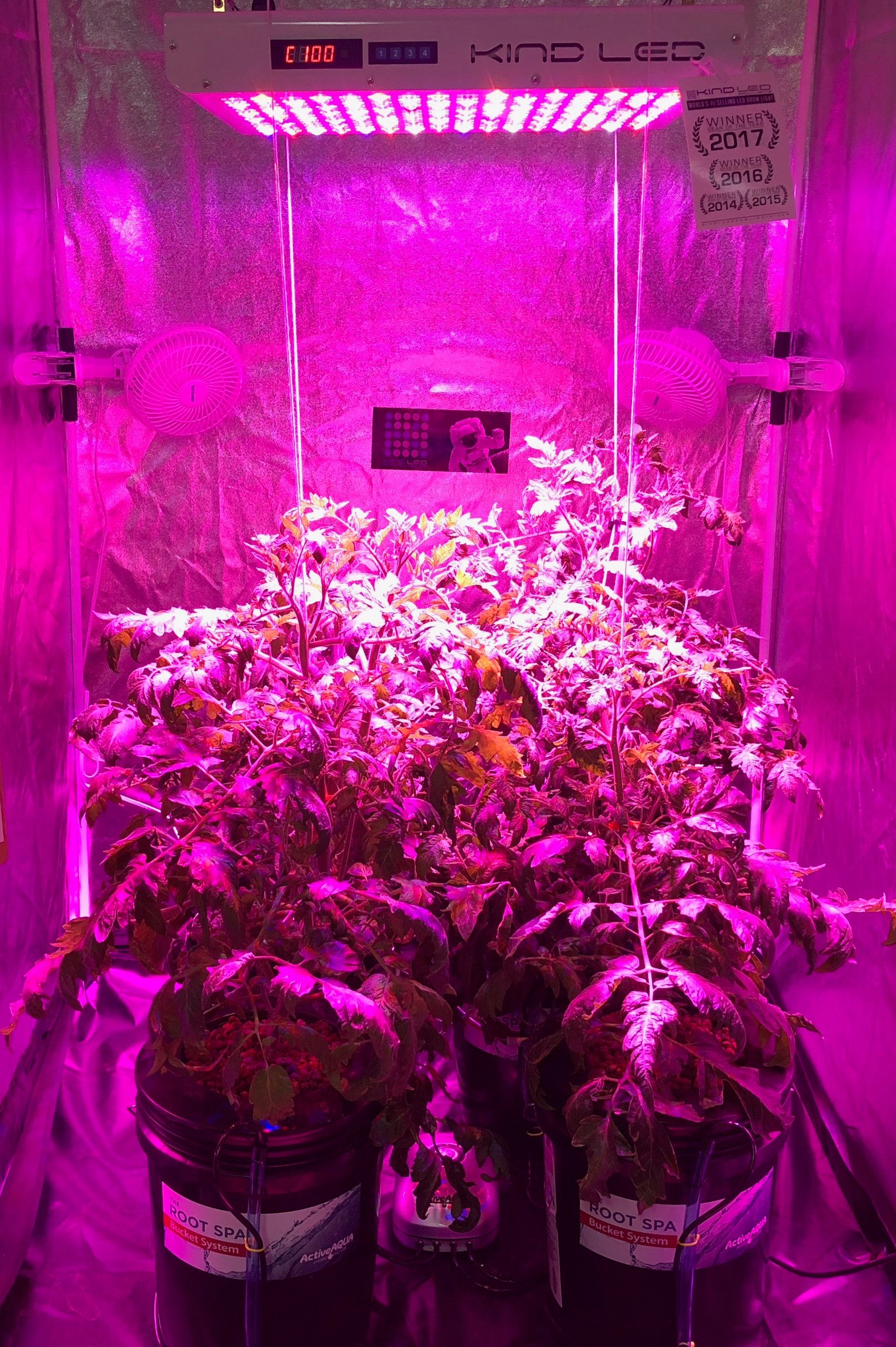 Avatar for ShoreGrowLLC