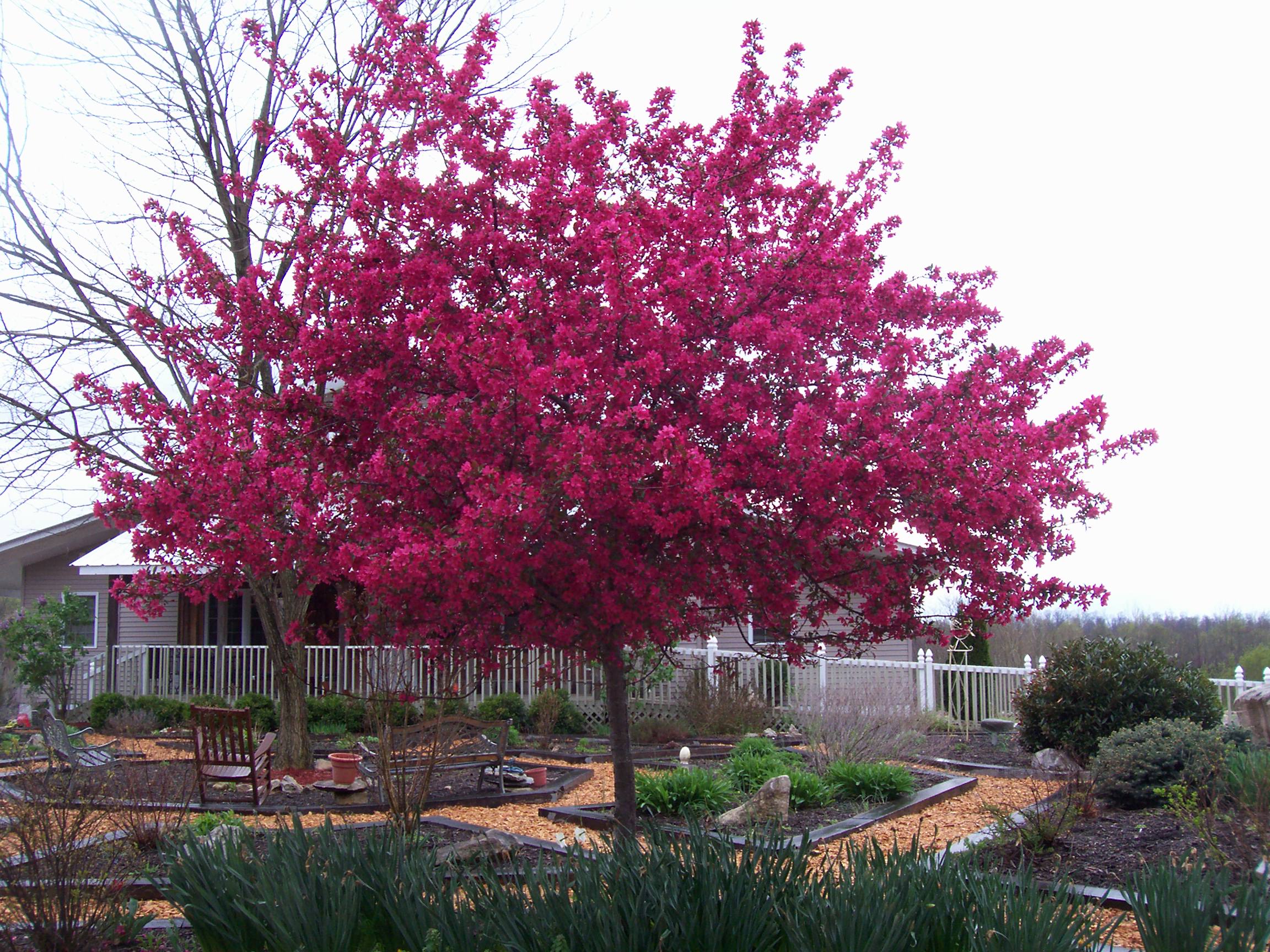 Avatar for Good Earth