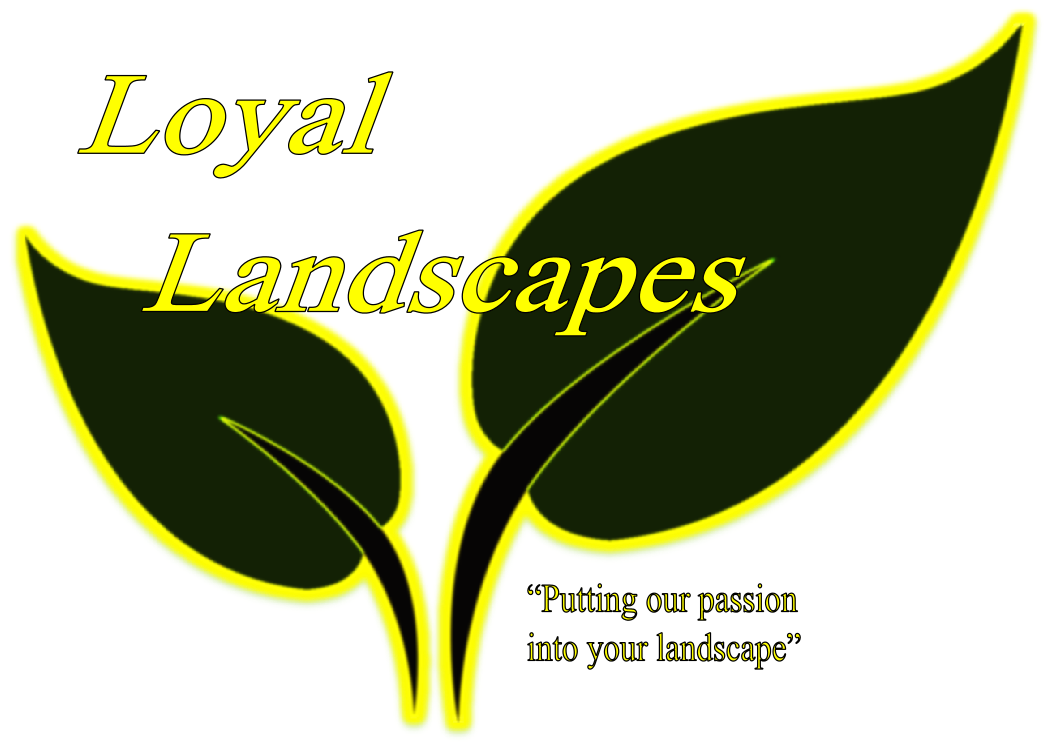 Avatar for Loyal Landscapes