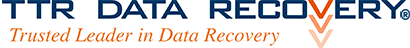 Data Recovery Service logo