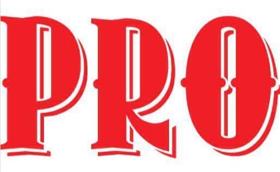 Avatar for Pro Electric